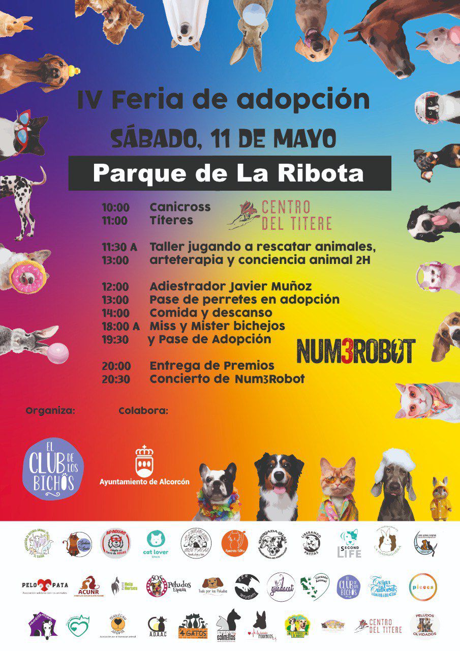 feria adopcion