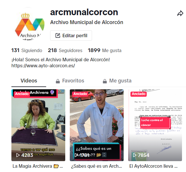 Pagina del perfil del archivo en tiktok