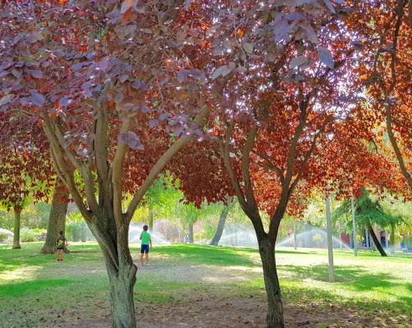 Parque Abogados de Atocha