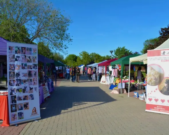 07-05-24 IV Feria de Adopción