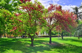 parque abogados