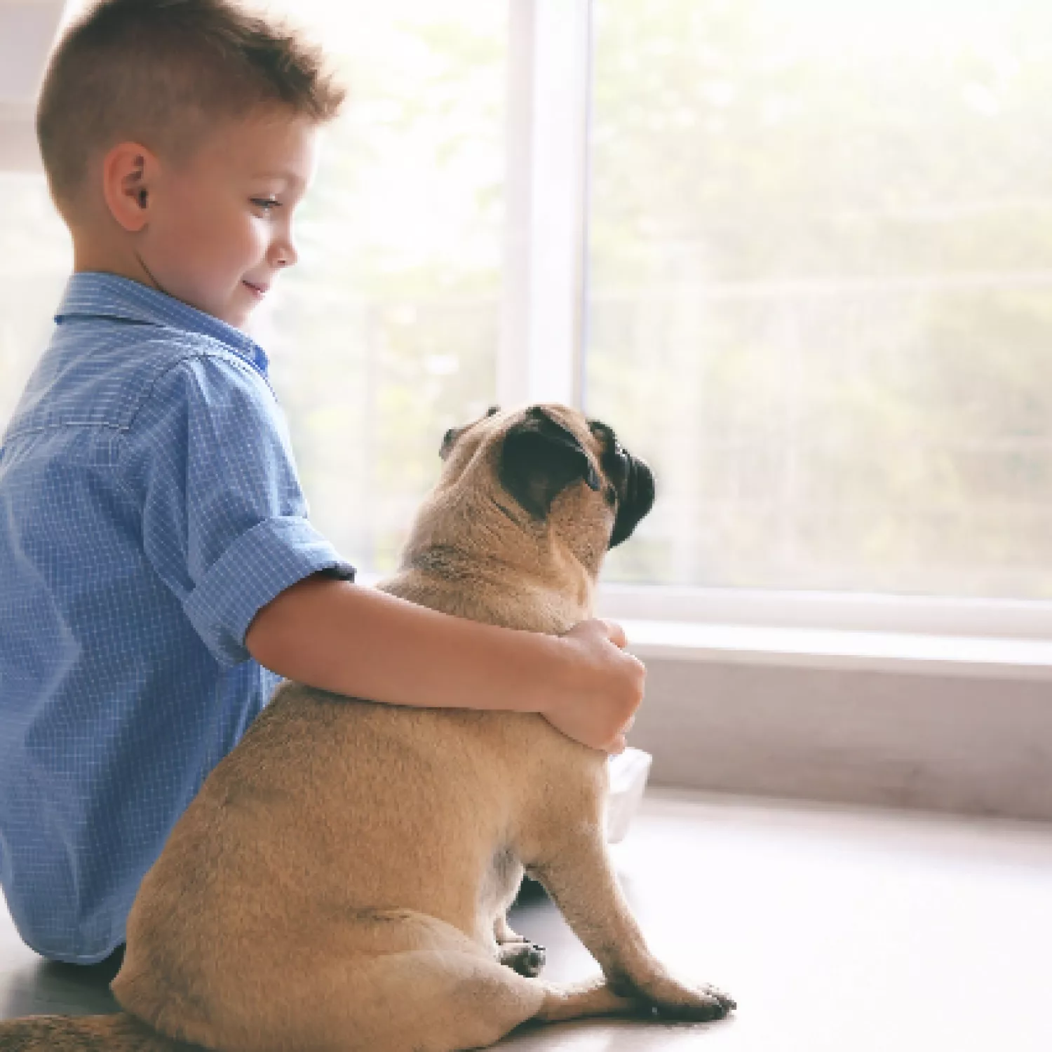 Protection des animaux