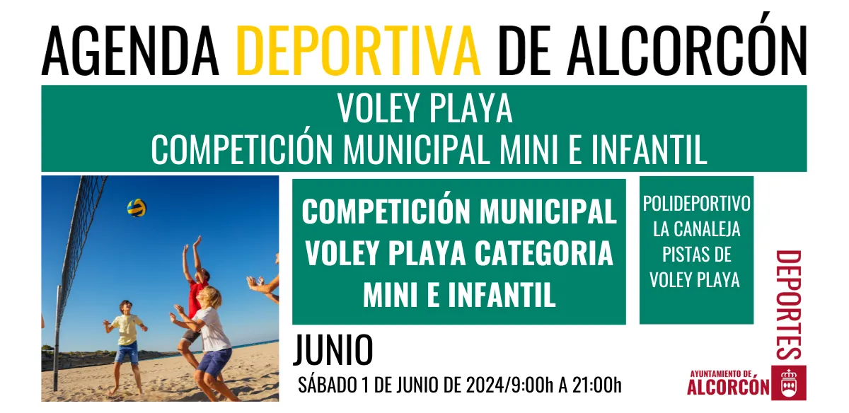 VOLEY PLAYA