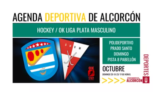 HOCKEY / OK Liga Plata Masculino