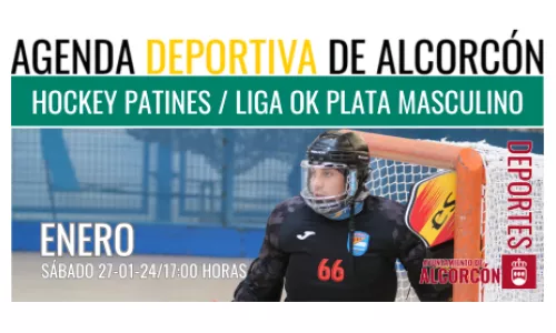 HOCKEY / OK Liga Plata Masculino