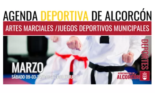 ARTES MARCIALES