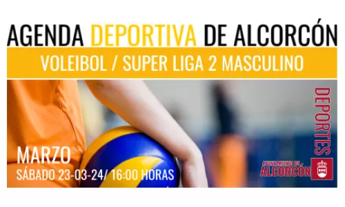 VOLEIBOL