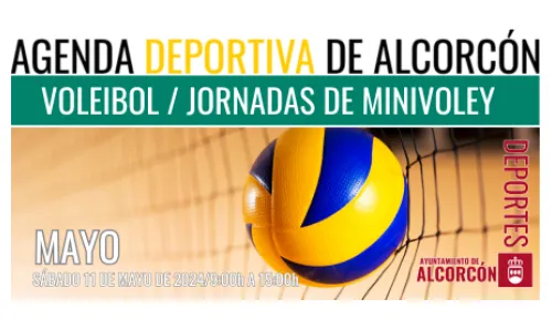 VOLEIBOL / JORNADAS DE MINIVOLEY