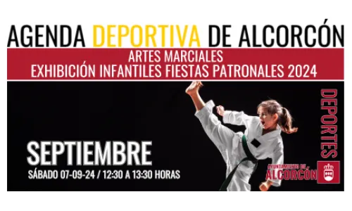 ARTES MARCIALES