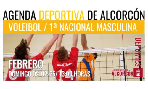 VOLEIBOL/ 1ª NACIONAL MASCULINO 