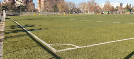 Campo de Fútbol Vicente del Bosque