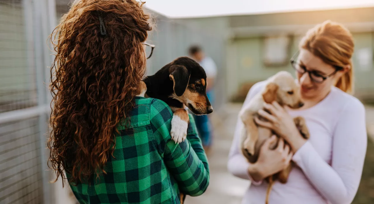 deux femmes étreignant chacune un chien