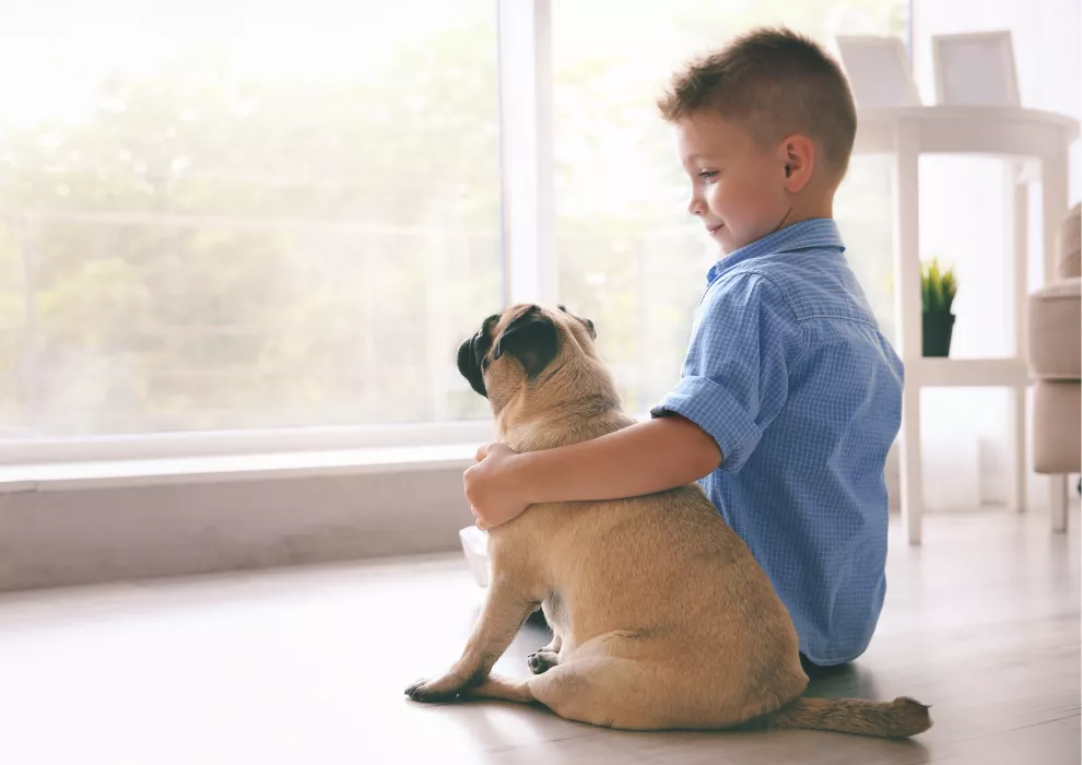 Protection des animaux