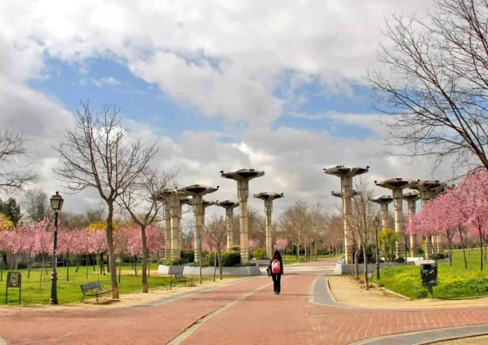 Parques y Jardines